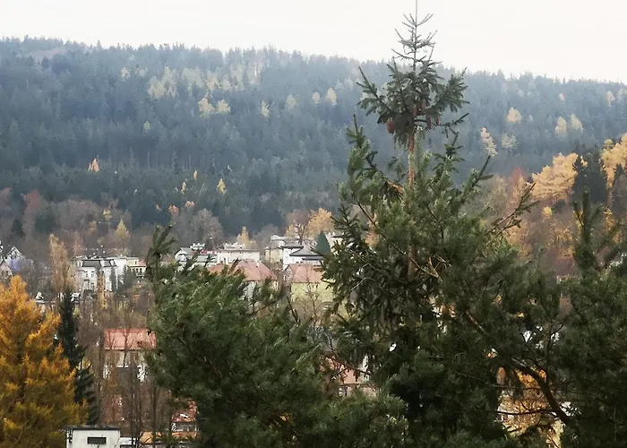 Irysek